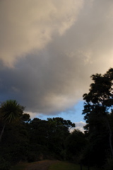 DSC_0507.JPG