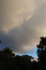 DSC_0508.JPG