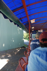 DSC_0062.JPG