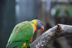DSC_0534.JPG