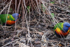DSC_0535.JPG
