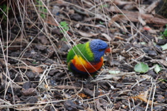 DSC_0536.JPG