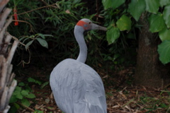 DSC_0537.JPG