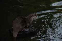 DSC_0541.JPG