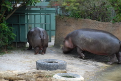 DSC_0543.JPG