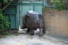 DSC_0545.JPG