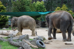 DSC_0549.JPG