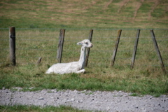 DSC_0067.JPG