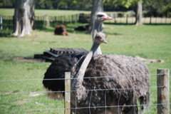 DSC_0072.JPG