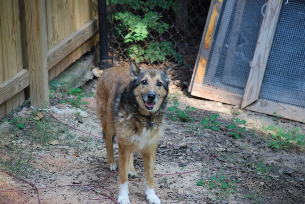 DSC_0474.JPG