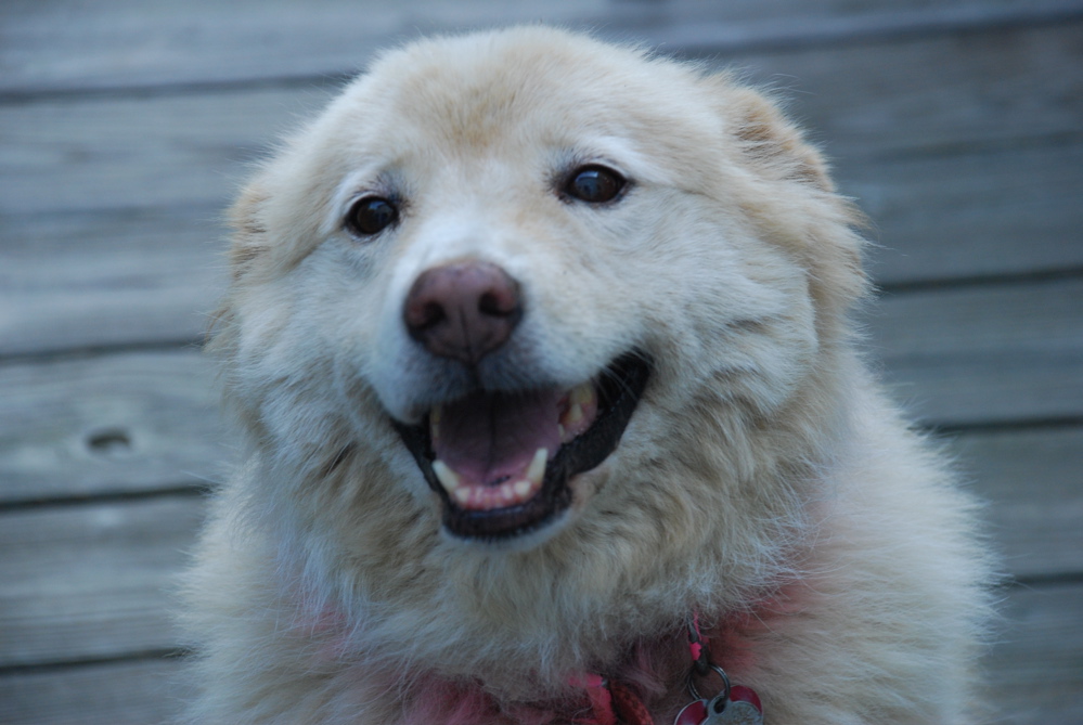 DSC_0475.JPG