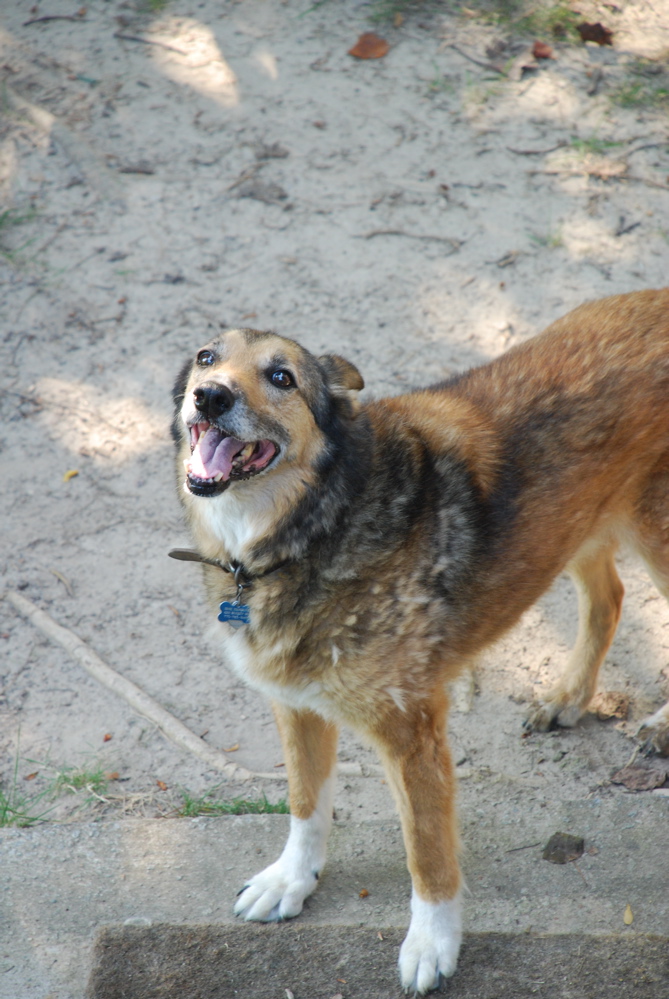 DSC_0481.JPG