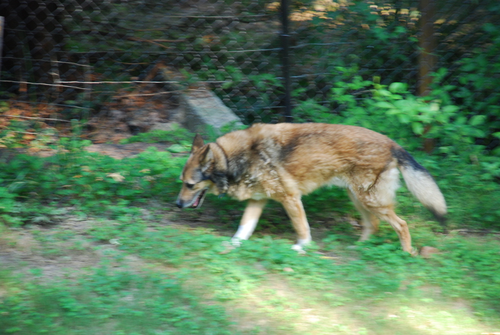 DSC_0469.JPG
