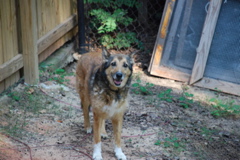DSC_0474.JPG