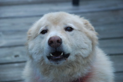DSC_0476.JPG