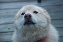 DSC_0477.JPG