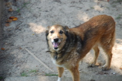 DSC_0478.JPG