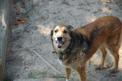 DSC_0479.JPG