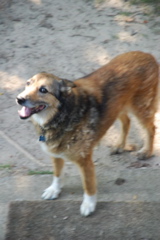 DSC_0480.JPG