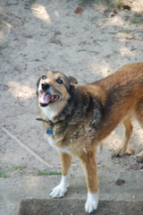DSC_0481.JPG