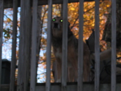IMG_3711.JPG