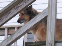 IMG_3716.JPG