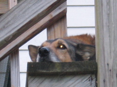 IMG_3721.JPG