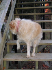 IMG_3734.JPG