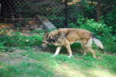 DSC_0469.JPG