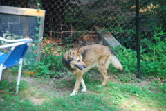DSC_0470.JPG