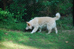 DSC_0471.JPG