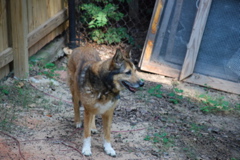 DSC_0473.JPG