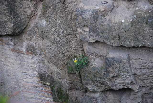 DSC_0169.JPG