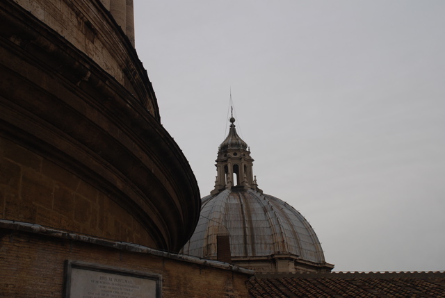 DSC_0223.JPG