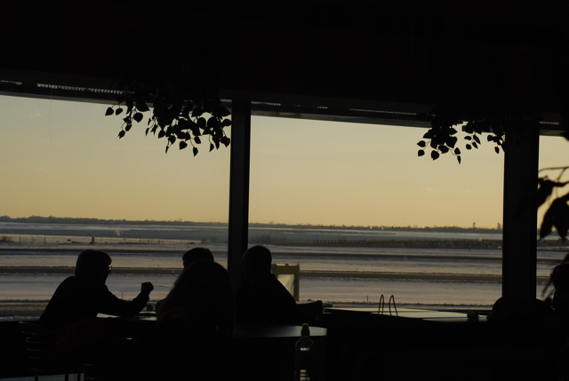 DSC_0231.JPG