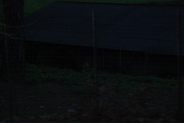 DSC_0131.JPG