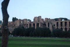 DSC_0133.JPG