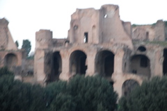 DSC_0134.JPG