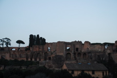 DSC_0137.JPG