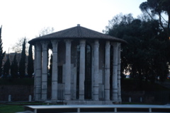 DSC_0138.JPG