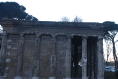 DSC_0140.JPG