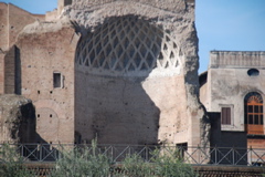 DSC_0149.JPG