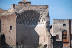 DSC_0150.JPG