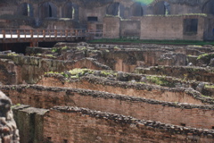 DSC_0154.JPG