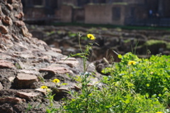 DSC_0157.JPG