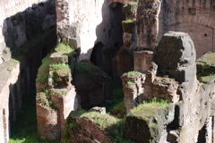 DSC_0164.JPG