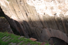 DSC_0167.JPG
