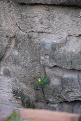 DSC_0168.JPG