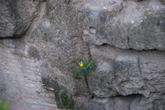 DSC_0169.JPG