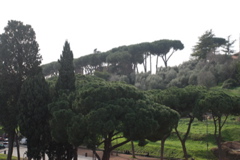 DSC_0182.JPG